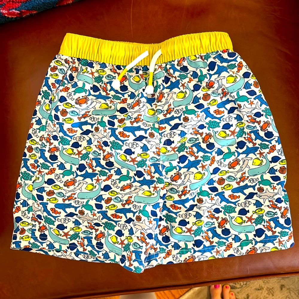 Mini Biden Fish Swim Trunks Boys Size 6-7